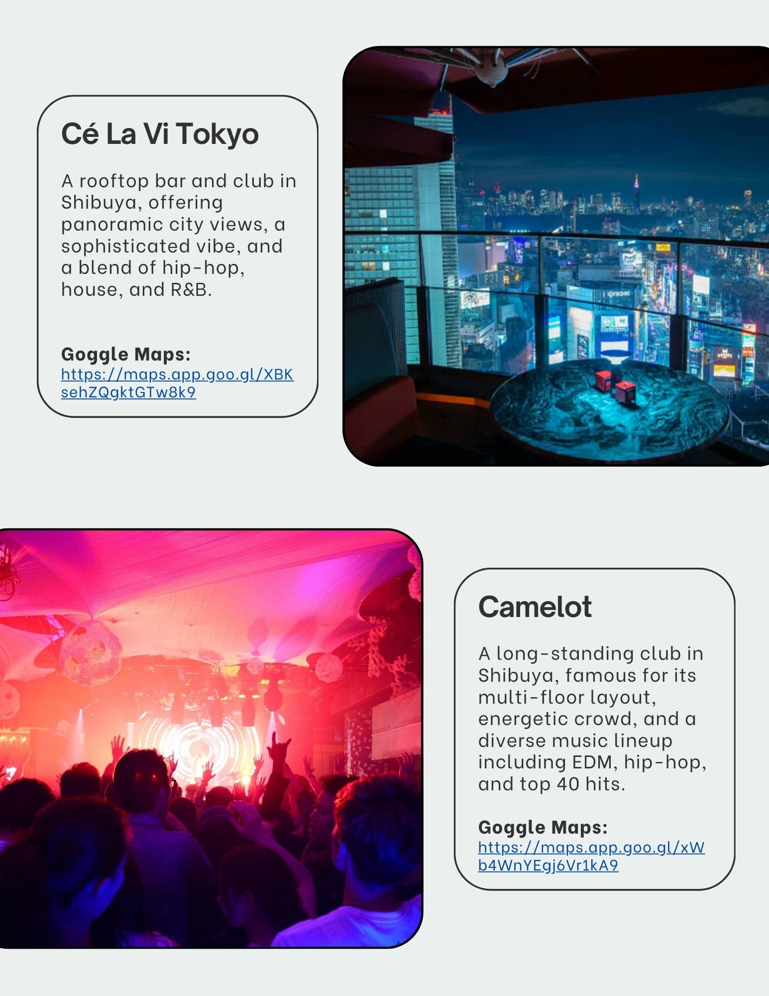 Tokyo Nightlife Guide - 40+ Hidden Nightlife Gems - My Store
