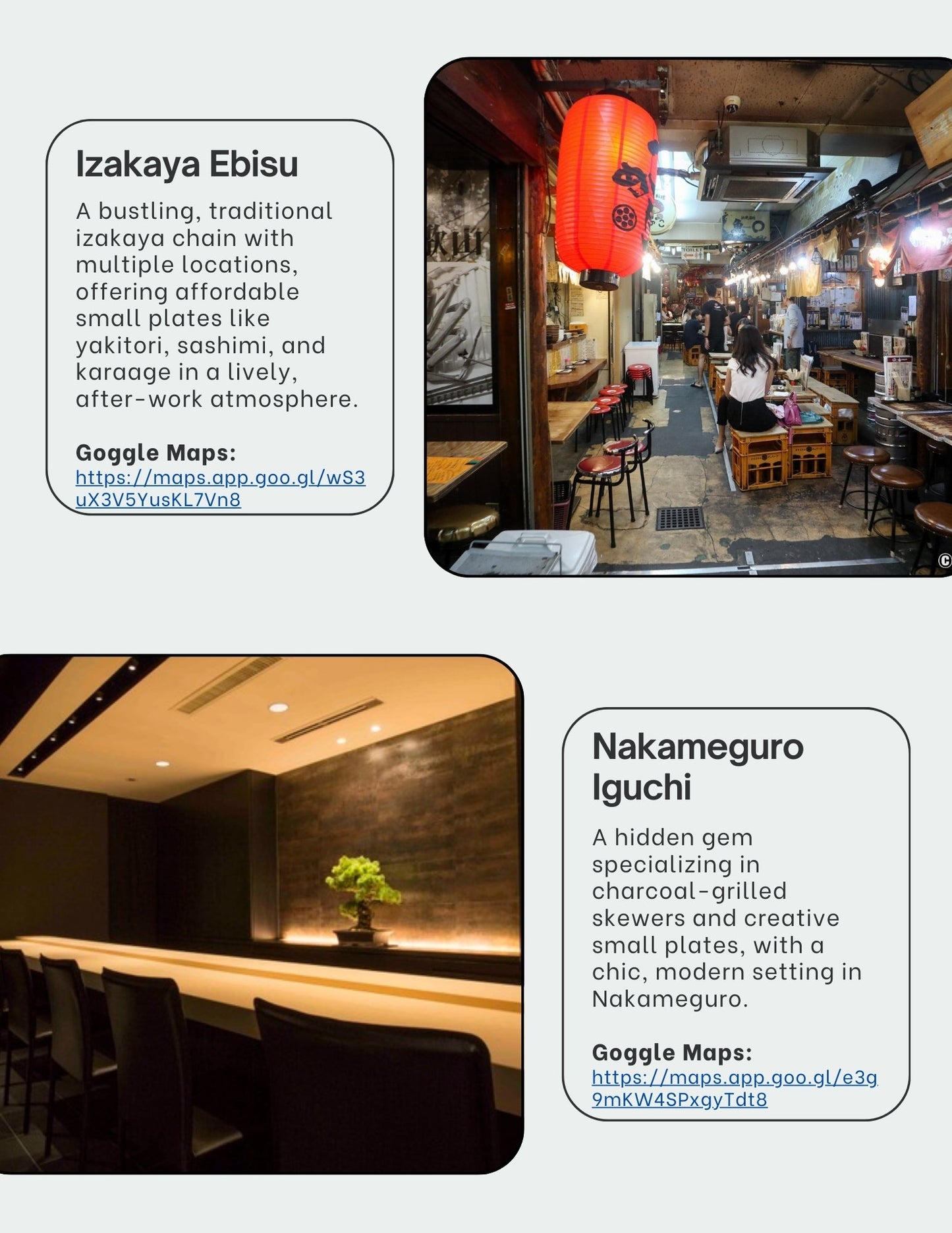 Tokyo Nightlife Guide - 40+ Hidden Nightlife Gems - My Store