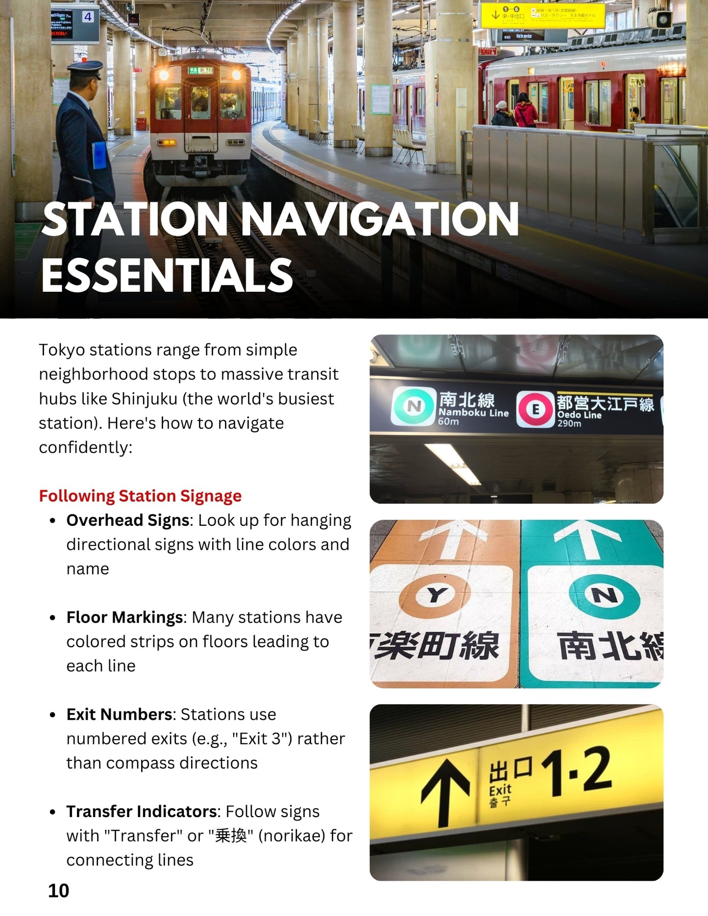 Ultimate Tokyo Transit Guide So You Don't Get Lost - My Store