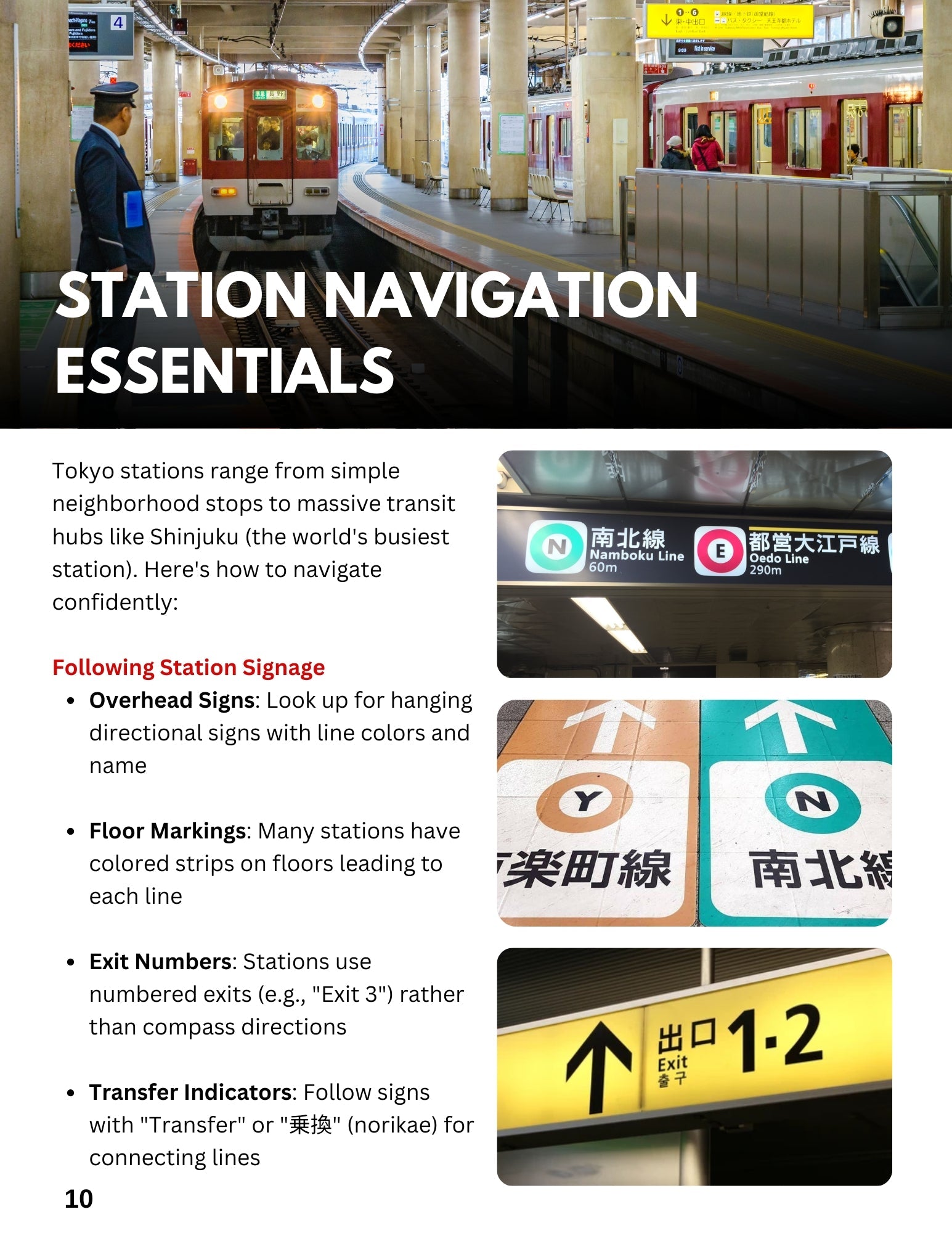 Ultimate Tokyo Transit Guide So You Don't Get Lost - My Store